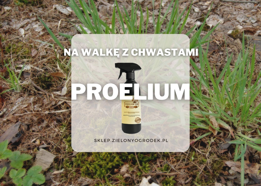 Proelium 500 wspomaga dzialanie herbicydow