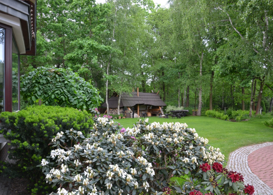 ogród przytulony do drzew fot. Liliana Jampolska