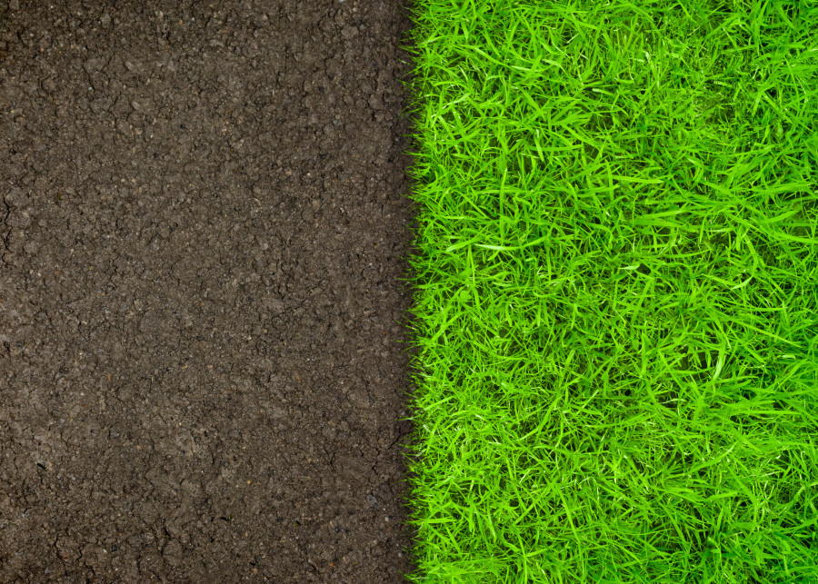 Odpowiednie przygotowanie ziemi pod trawnik to gwarancja, że będzie piękny i zdrowy jak zielony dywan